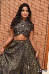 Kamna Singh At Thikka Movie Audio Launch